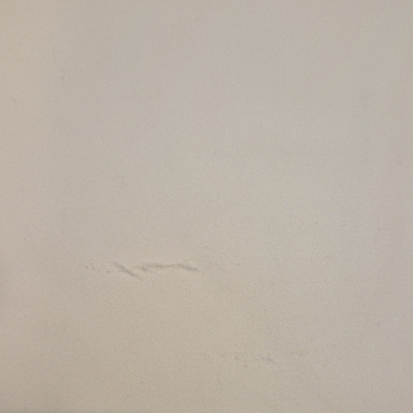 Yogalicious Cream Long Sleeve Top New With Tags Size XS - Picture 6 of 9